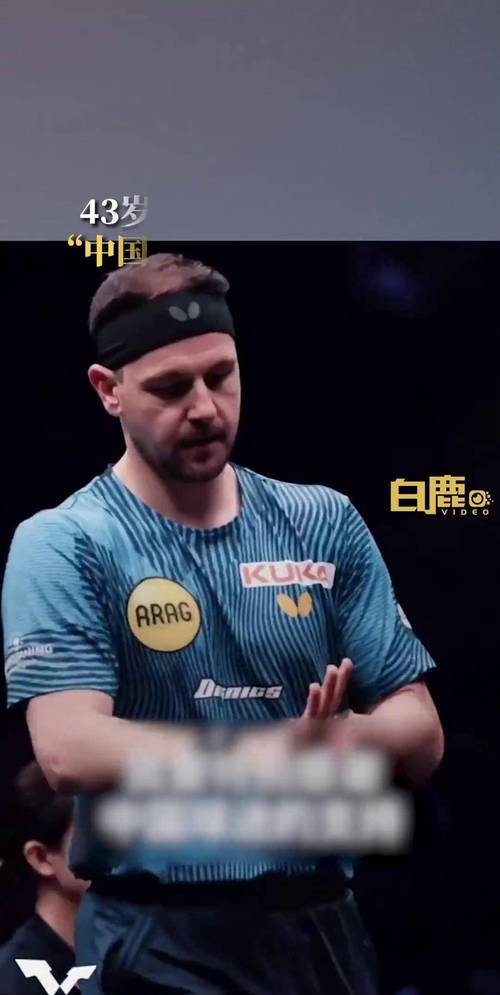 日本乒乓球队强势波兰乒乓球队，波尔绝境逆转的简单介绍