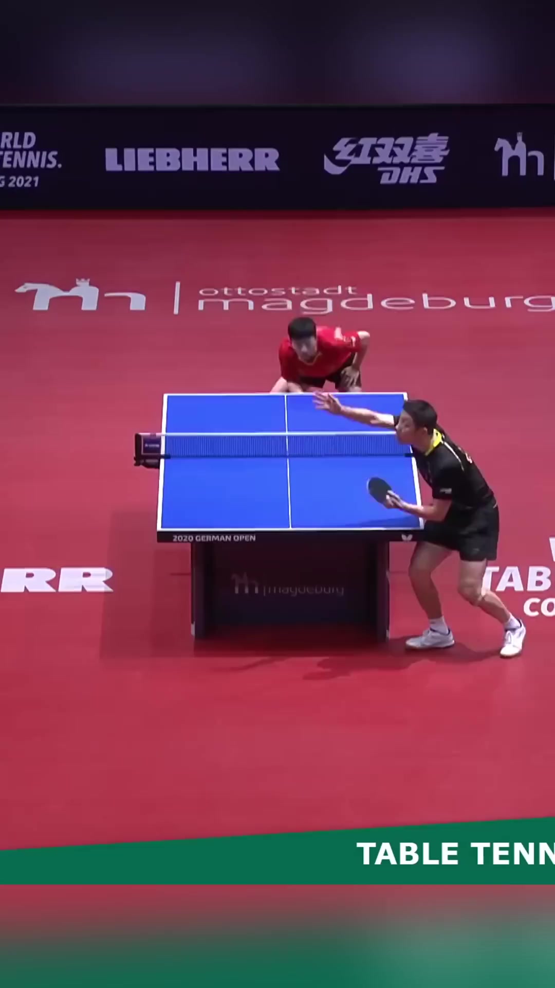 包含比利时乒乓球队绝地反击法国乒乓球队,许昕制霸全场的词条 包含比利时乒乓球队绝地反击法国乒乓球队,许昕制霸全场的词条